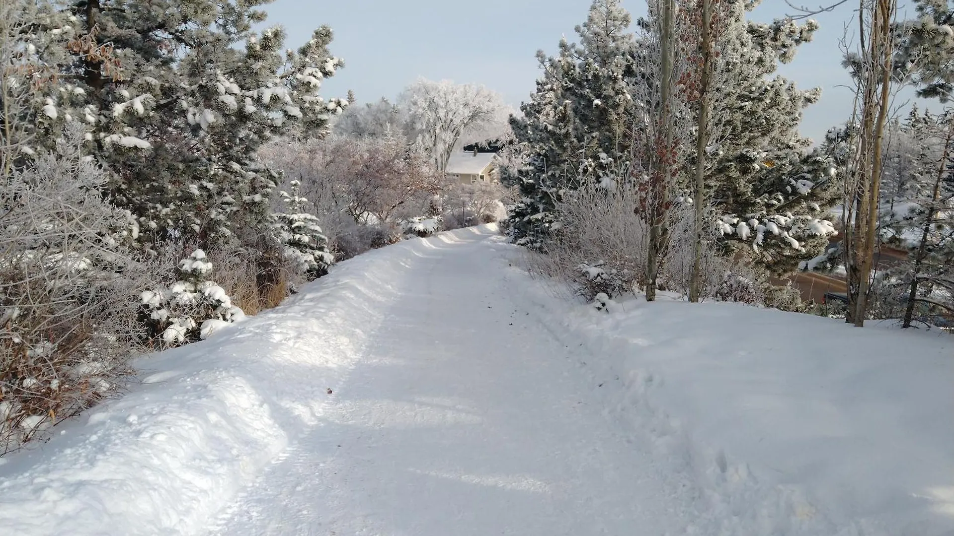 U Of A Homestay, Trails & Whyte Ave Edmonton 0*,