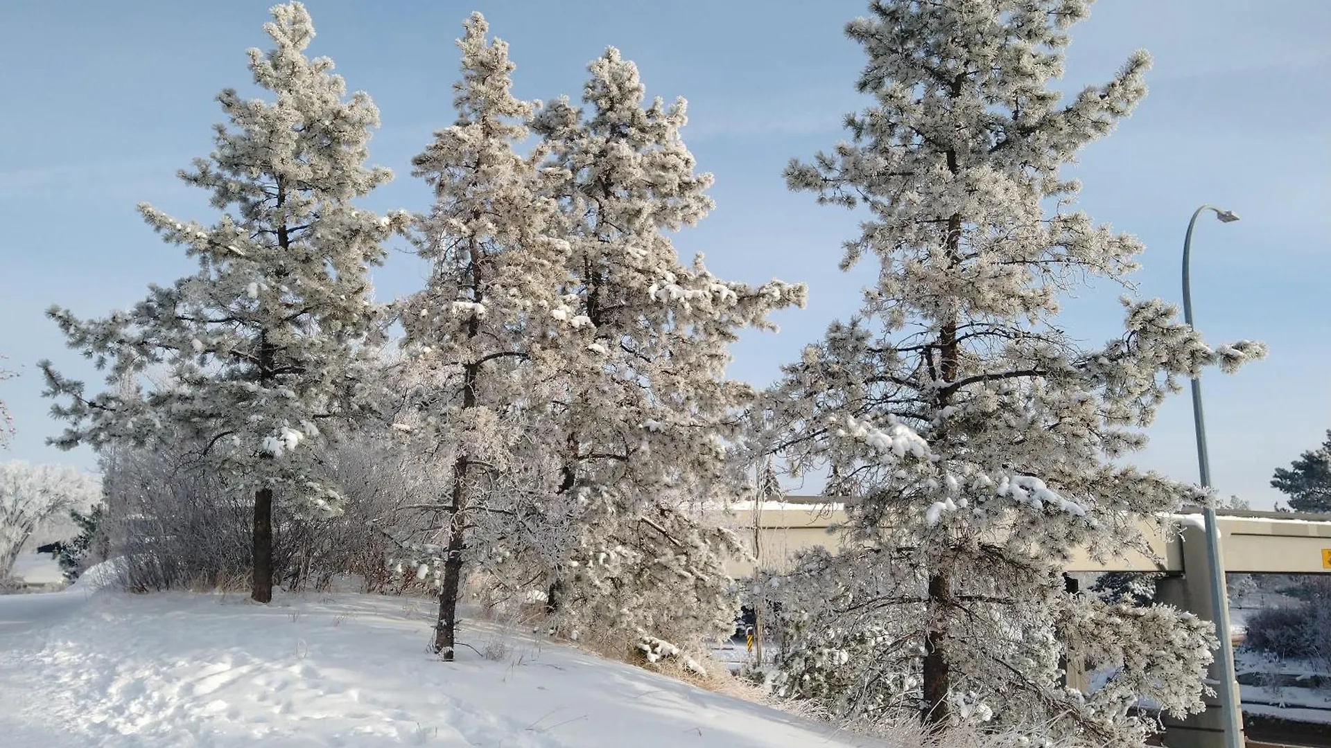 U Of A Homestay, Trails & Whyte Ave Edmonton