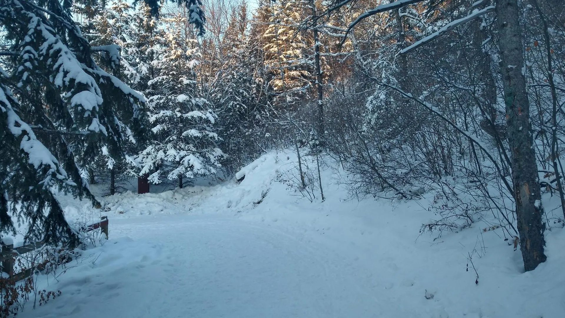 Kwatera prywatna U Of A Homestay, Trails & Whyte Ave Edmonton