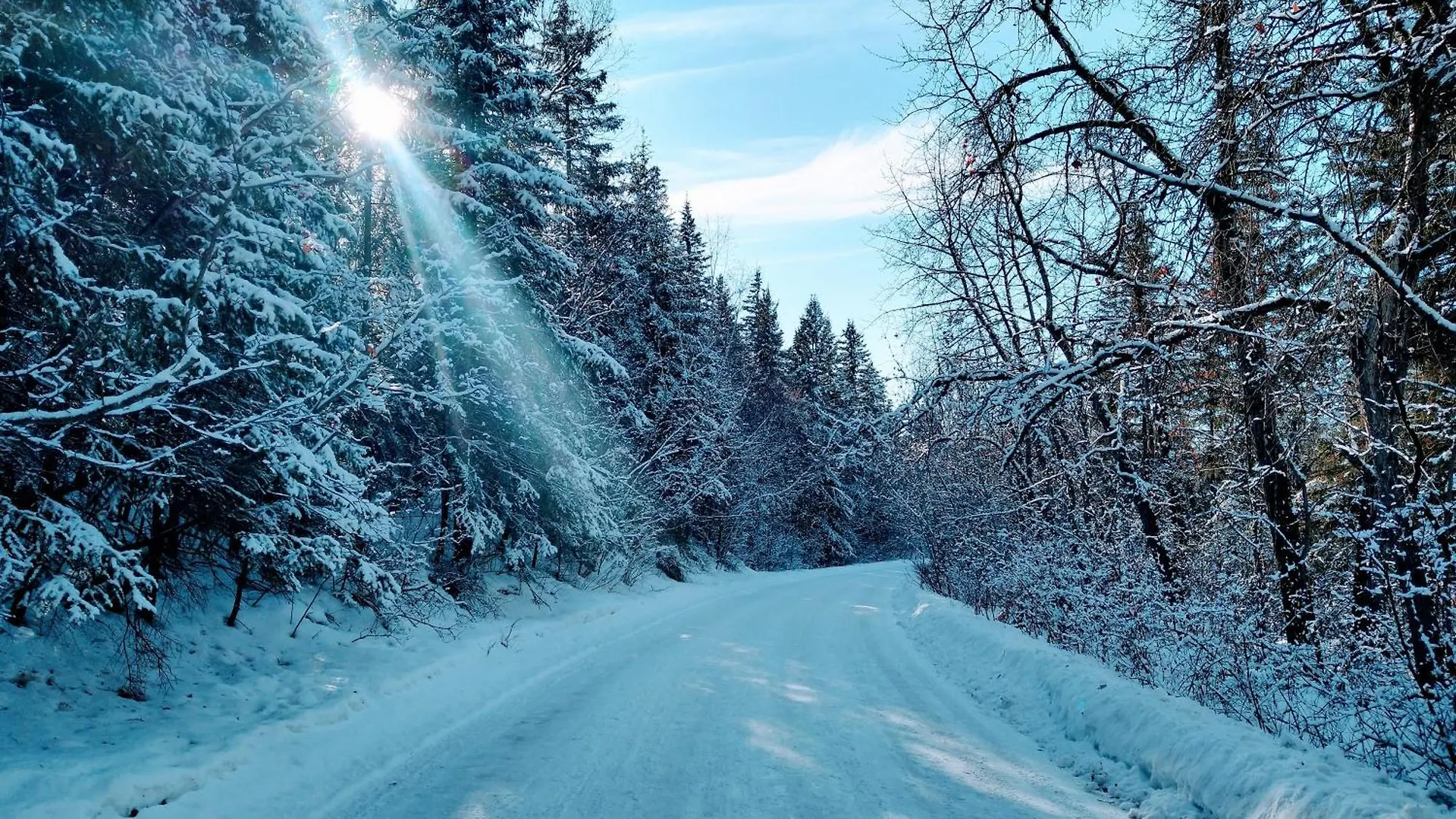 U Of A Homestay, Trails & Whyte Ave Edmonton Kanada